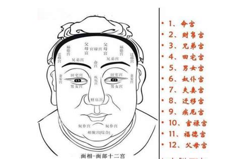 三清格 面相|三清格面相：名人案例分析